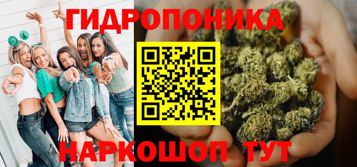 Конопля семена  Каннабис марихуана  Конопля OG Kush  Арзамас  Вход с VPN 